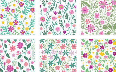 Spring Flowers Color vector set