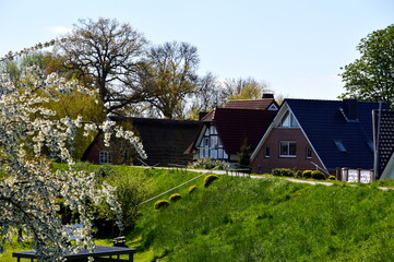 Historical Buildings in Spring in the Old Country, Guderhandviertel, Lower Saxony