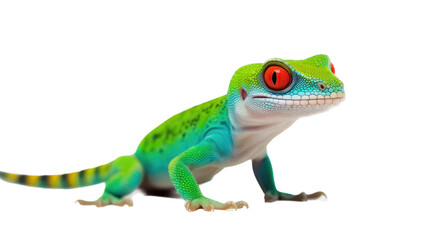 a Day Gecko, colorful, insectivores, Pet-themed, photorealistic illustrations in a JPG. Generative AI