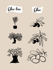 set of olive branch and olive trees. Hand drawn illustrations