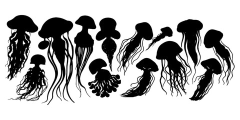 jelly fish silhouettes