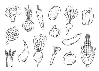 Collection of drawing vegetables in doodle style. A set of vector illustrations of the harvest corn potatoes carrots radishes beets garlic onions tomatoes, etc. - 605132441