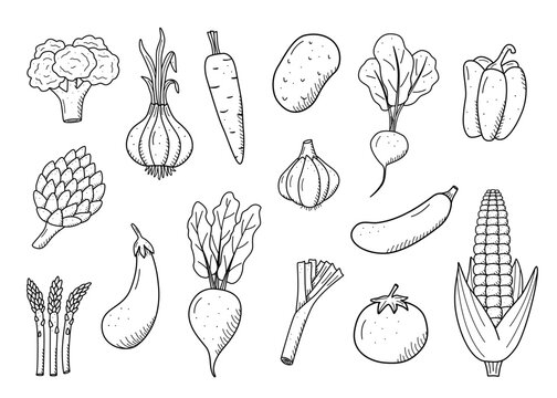 Cute Cartoon Vegetable and Fruit Drawing For Charity