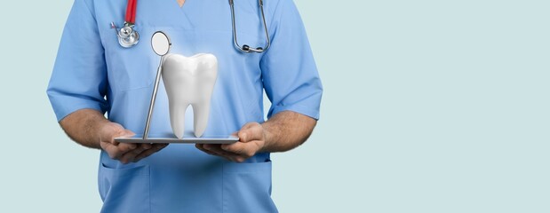 Dental clinic concept. Dentist hold a healthy tooth model