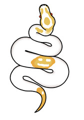 Exotic pet Ballpython snake