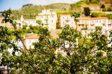 Fototapeta na wymiar Cinque Terre Riomaggiore