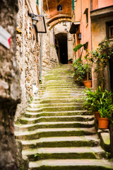Fototapeta na wymiar Cinque Terre Vernazza