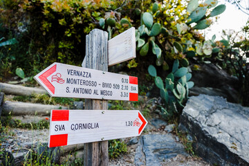 Cinque Terre Vernazza