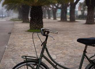 Fototapeta na wymiar Bicycle on palm tree alley in bad weather