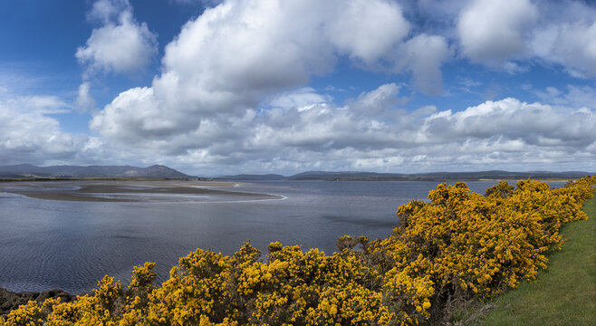 Cambuscurrie Bay, Dornoch firth bridge, Scotland, clouds, broom, river, rivermouth, 