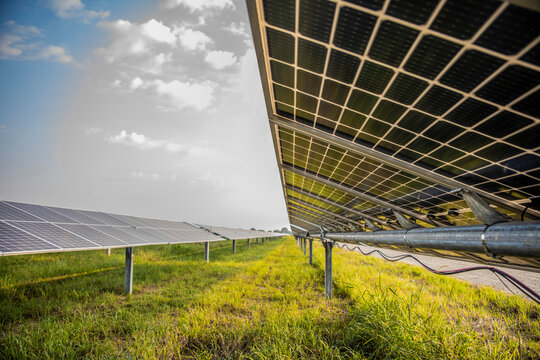 Solar farm in east Texas