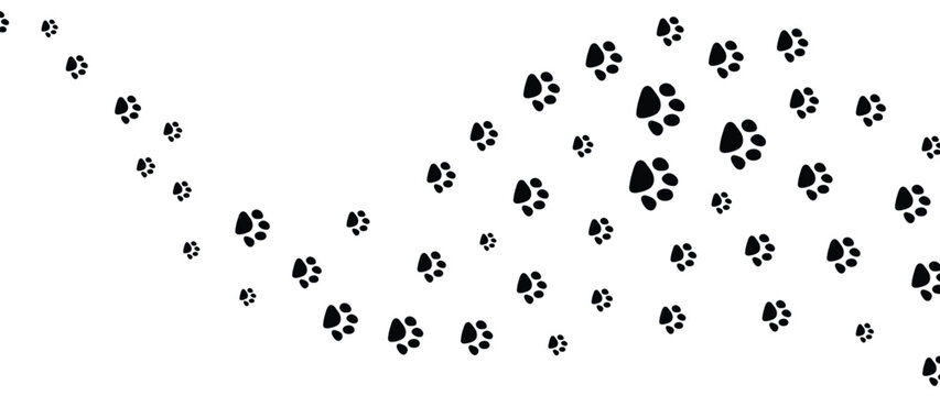 Dog paw footprints background vector. Hand drawn animal, pet, cat paw silhouette pattern, kitten, puppy walking. Footsteps illustration design for fabric, decorative, sticker, wallpaper, kids