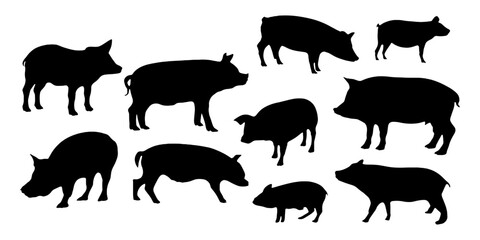 pig silhouettes