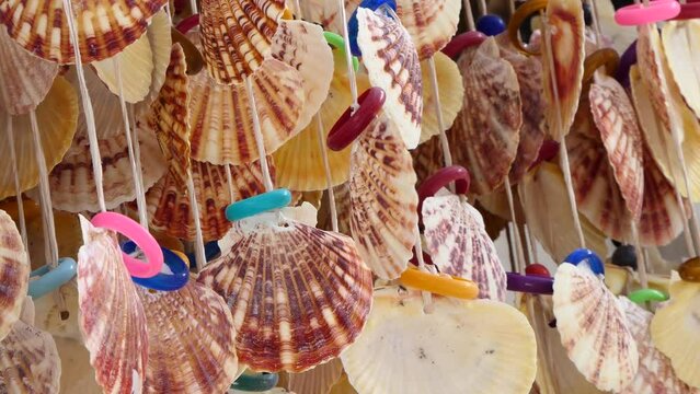 souvenir seashells hanging in the shop
