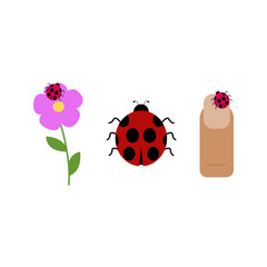 Ladybug on flower and finger on white background. Set of clip arts with ladybird. Cute flat insect. Cartoon vector illustration