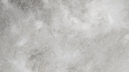 Naklejka premium white goose down on a black background