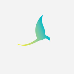 bird logo design