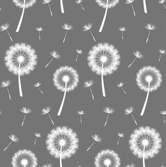 Dandelions seamless pattern on gray background