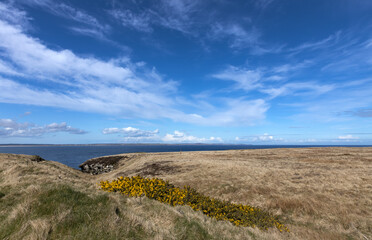 Fototapeta na wymiar Landscapes and grass at Nose head at nothern scottish coast. Scotland. Northsea coast. Clouds. Sky. 