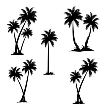 set of palm trees vector