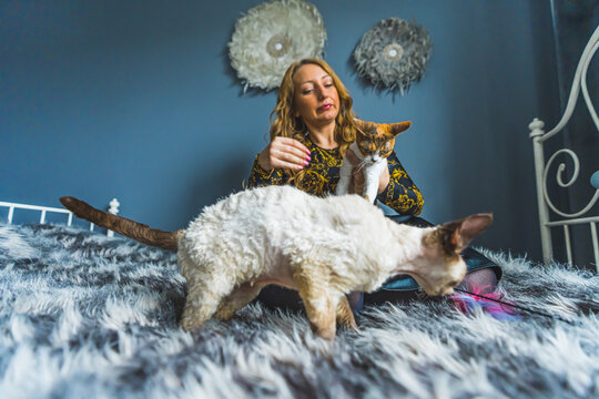 Caucasian woman resting with her Devon rex cats on the bed. High quality photo