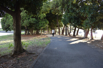 サラリーマンの休日。暑い夏の日木々の間の道路を歩いています。