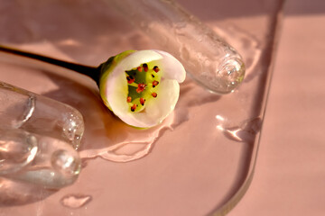 Pipettes with serum and flowers on a pink background