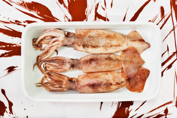 Uncooked  squid fish in plate