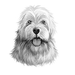 Sapsali dog portrait isolated on white. Digital art illustration of hand drawn dog for web, t-shirt print and puppy food cover design. Shaggy South Korean breed of dog, Sapsal Gae Sapsaree.