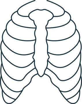 Rib cage icon. Monochrome simple sign from anatomy collection. Rib cage icon for logo, templates, web design and infographics.