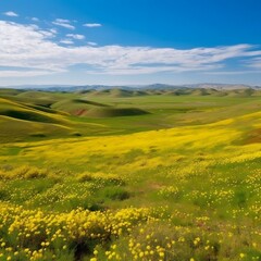 Carrizo Plain Hills Covered in Flowers. Generative AI