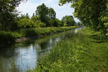 Nature at the creek Kehrbach in Akademiepark, Wiener Neustadt, Lower Austria, Austria, Europe, Central Europe
