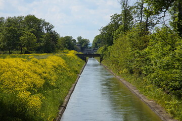Small hydroelectric plant on the creek Kehrbach in Akademiepark, Wiener Neustadt, Lower Austria, Austria, Europe, Central Europe
