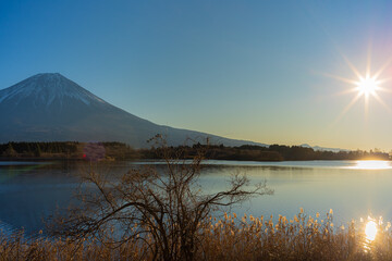 田貫湖からの初日の出と富士山