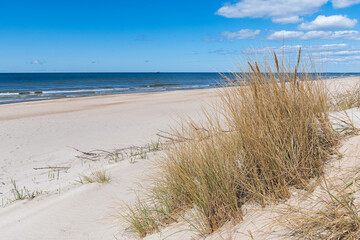 Fototapeta na wymiar Beautiful sandy beach with dry and yellow grass, reeds, stalks blowing in the wind, blue sea with waves on the Baltic Sea in Palanga, Klaipeda, Lithuania