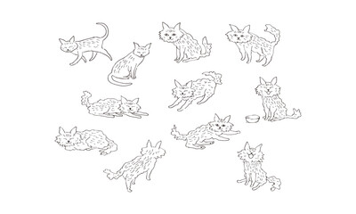 長毛猫のペン画スケッチイラスト