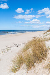 Walking on the Baltic Sea in Palanga, Klaipeda, Lithuania, with waves, cloudy sky, white sandy beach and dunes with reeds and pine tree forest, vertical
