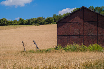 View of german agricultural fields