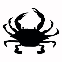 Blue crab shadow isolated on white background. Seafood shop logo, signboard, restaurant menu, fish market, banner, poster design template.  - obrazy, fototapety, plakaty