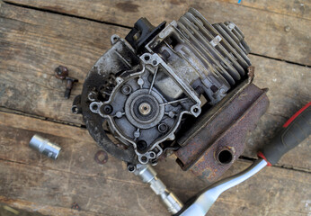 Trimmer disassembled to replace oil seals