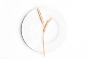 Flower plant on a plate white background