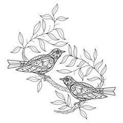 Birds and leaf hand drawn for adult coloring book