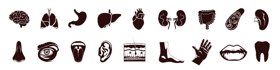 Human organs set. Human body anatomy organ icons. Silhouette icons.