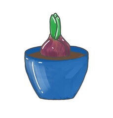 spring flower hyacinth. illustration hyacinth flower with leaves.