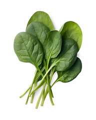 Image of Bundle of fresh spinach isolated on transparent and white background, top view. Png transparent. printed on Printed Glass Basin Splashbacks