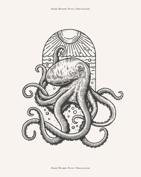 Hand-drawn image of an octopus and the sun rising over the sea. Ocean animal on a light background. Retro picture for your design. Vector illustration in vintage engraving style.