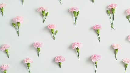 Flowers composition, spring floral background, flat lay, top view. Pink carnation on white background