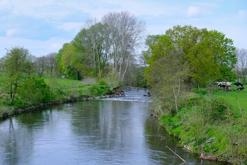 Flusslauf der Rur in einer ländlichen Umgebung