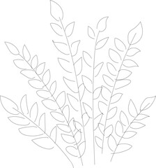 foliage 
bush

black and white