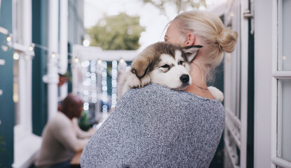 Dogs, love and a woman carrying her pet in the home as a companion for trust, safety or friendship. Happy, dog and a female animal owner holding her purebred husky puppy with care in a house